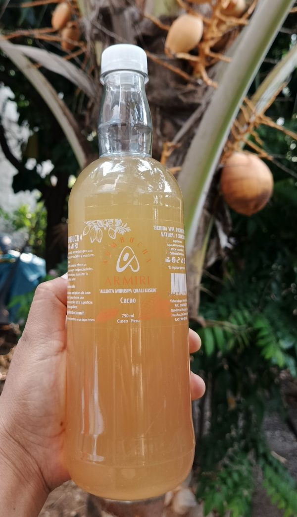 Kombucha de Cacao